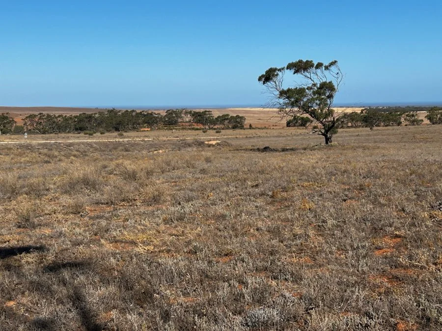 Additional image 2 of Section 30 Carmody Road, Midgee SA 5602