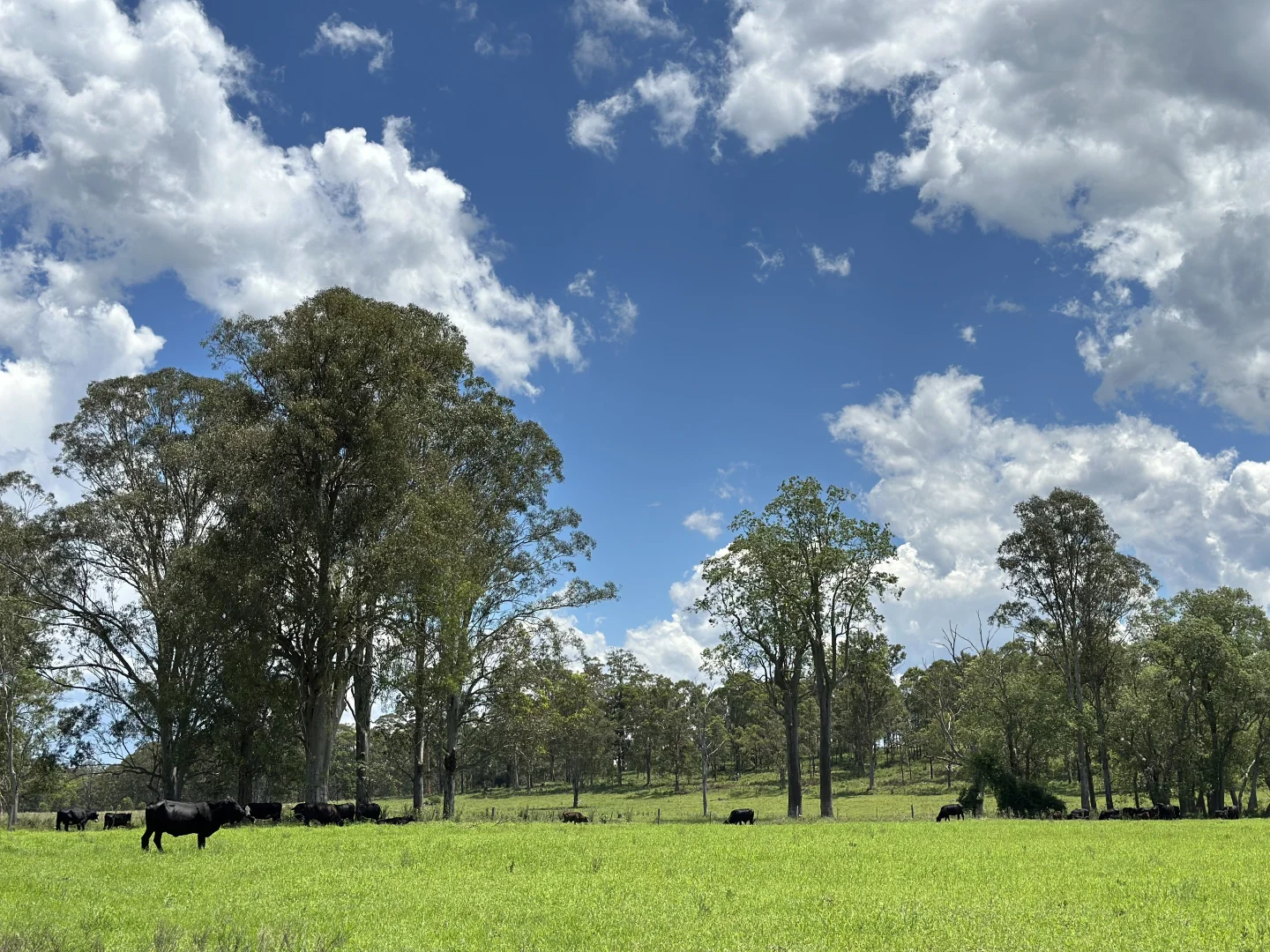 Additional image 21 of 119 Duck Creek Road, Old Bonalbo NSW 2469