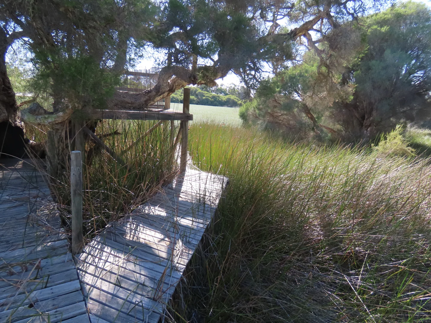 Additional image 14 of West Coolup WA 6214