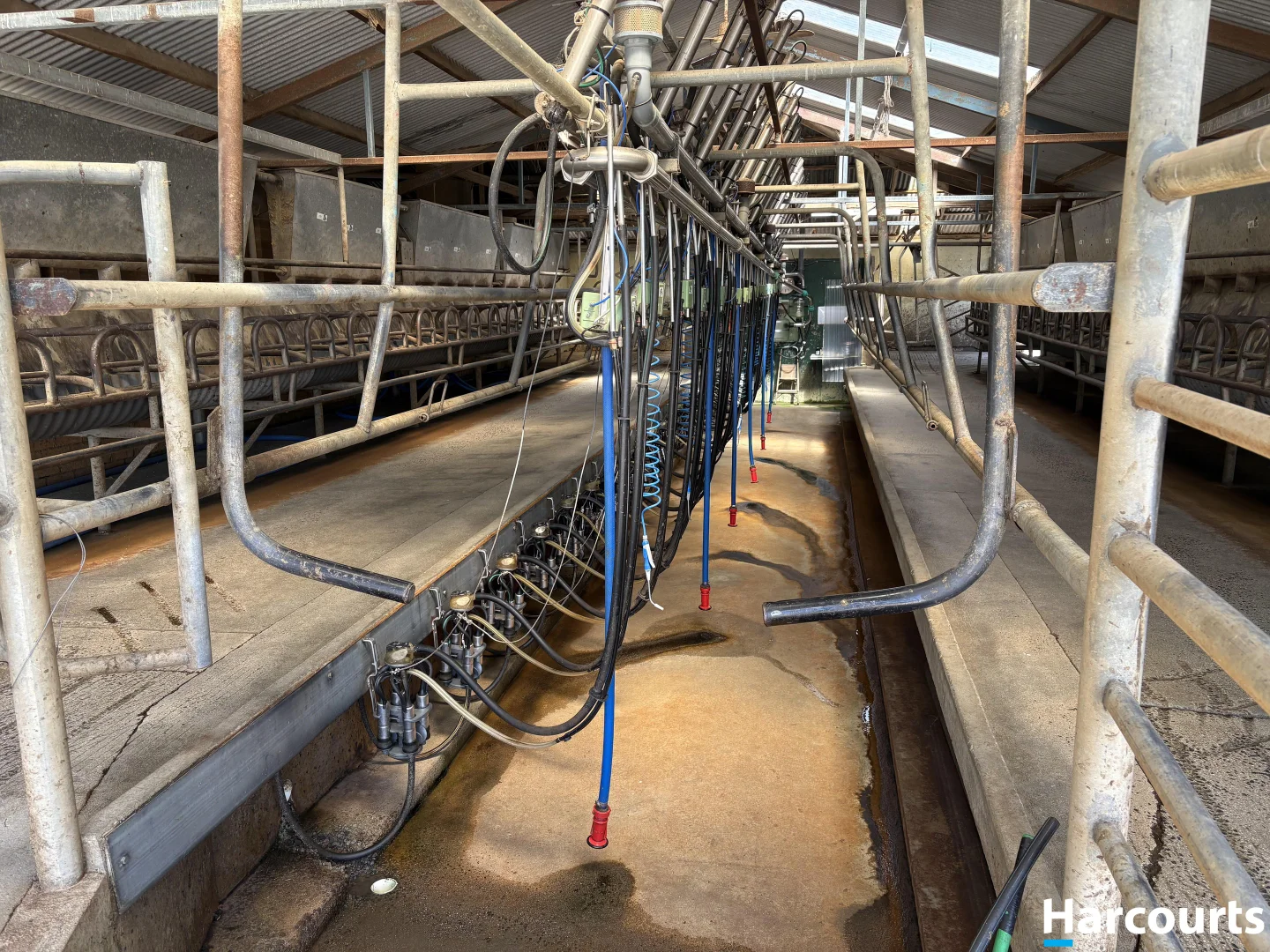 Additional image 9 of 778 Whitelaw Track, Buffalo VIC 3958