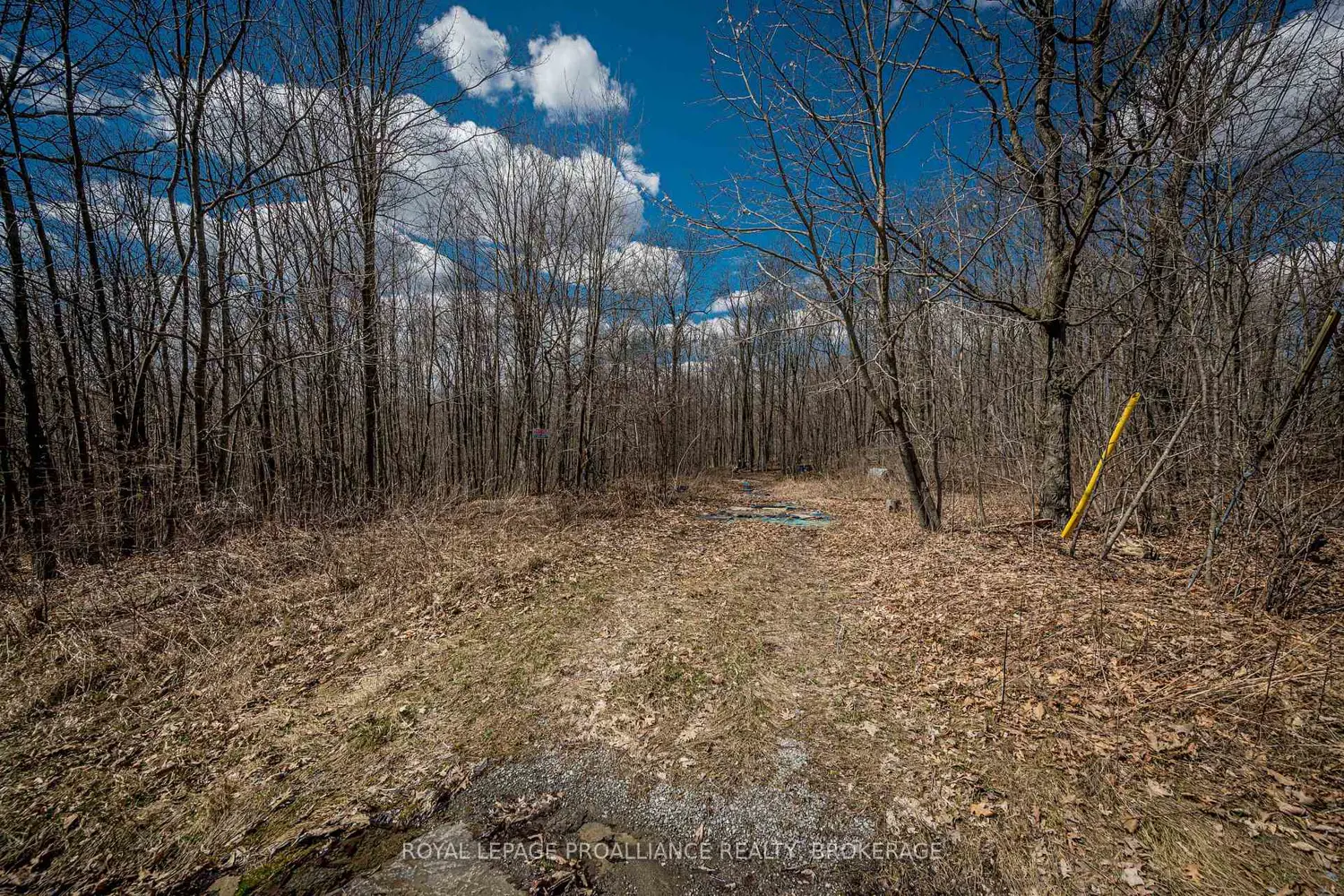 Additional image 16 of Lot 3 Baseline Road