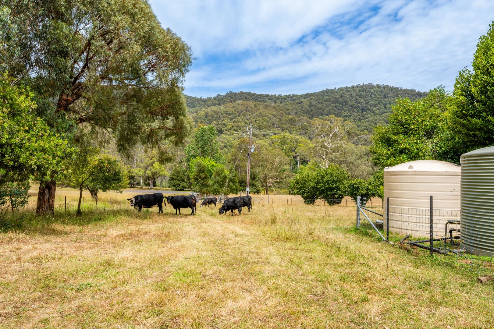 Additional image 41 of 585 Kancoona South Rd, Kancoona VIC 3691