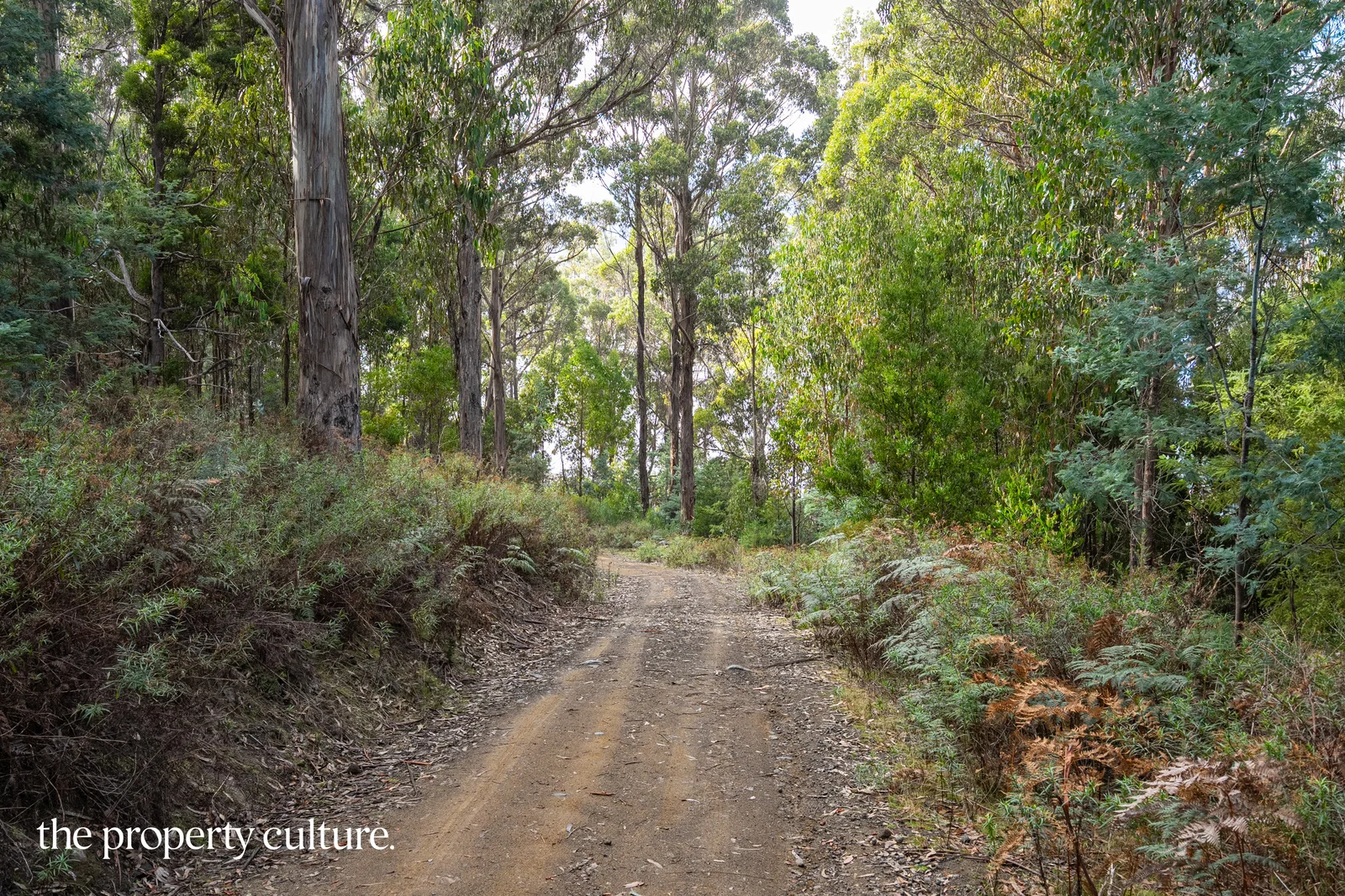 Additional image 14 of 2 Heriots Rise, Franklin TAS 7113