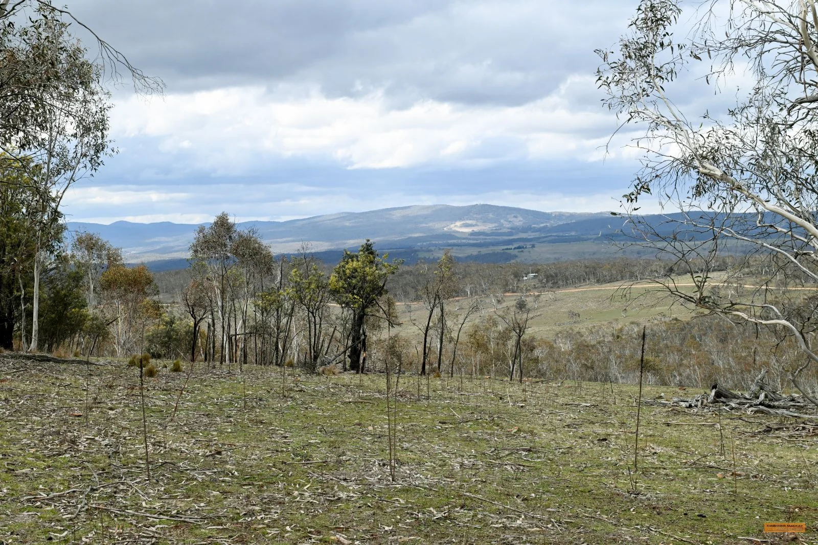 Additional image 36 of "Eagle Heights" 636 Caddigat Road, Dry Plain NSW 2630