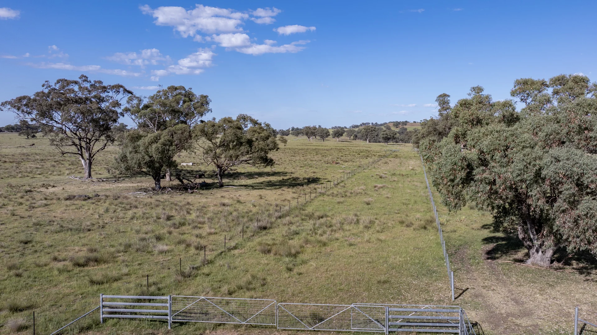 Additional image 22 of TIMBYDALE NEWELL HIGHWAY, Coonabarabran NSW 2357