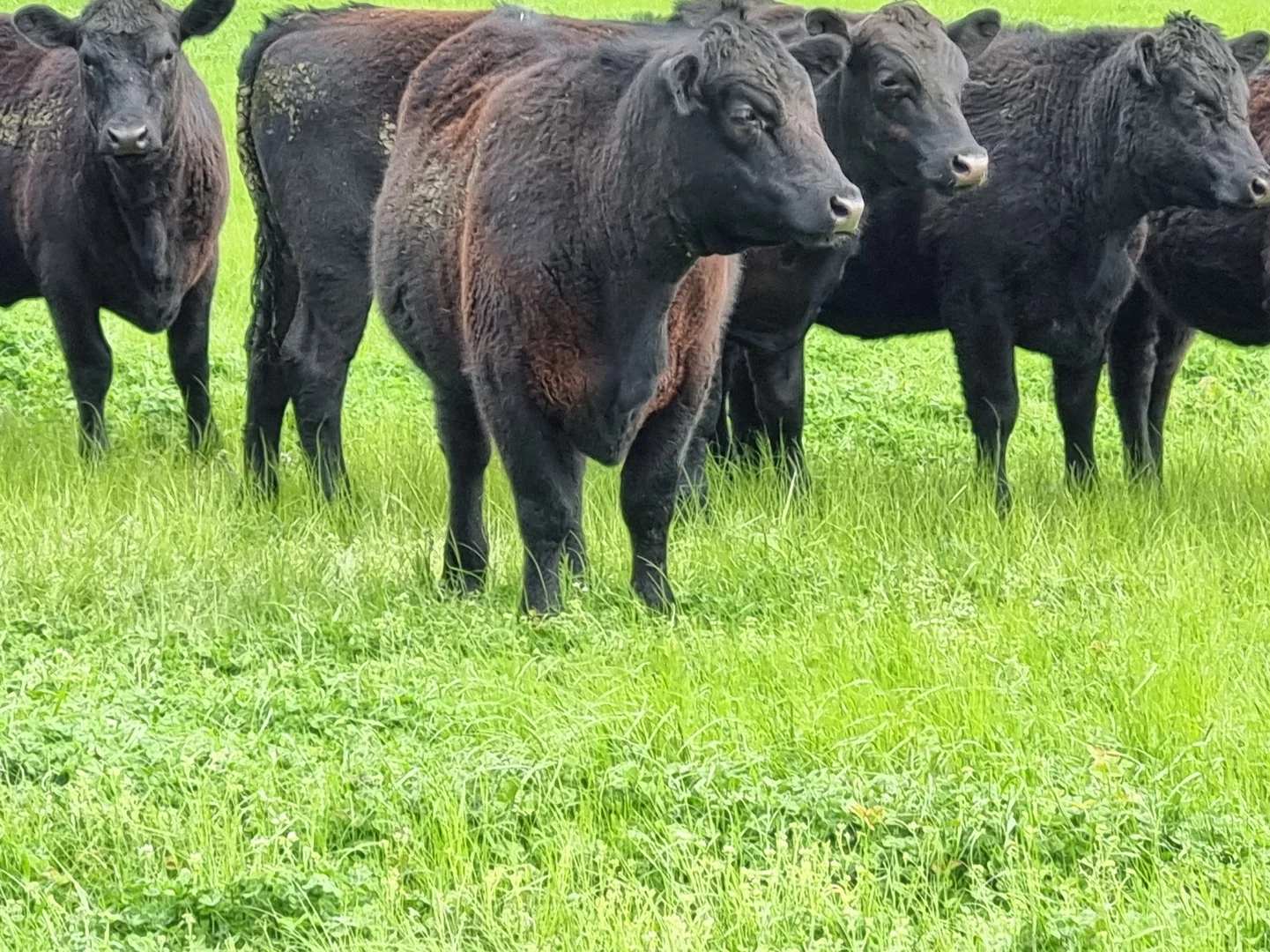 Additional image 9 of 10 Nalinga Road, Seymour VIC 3660