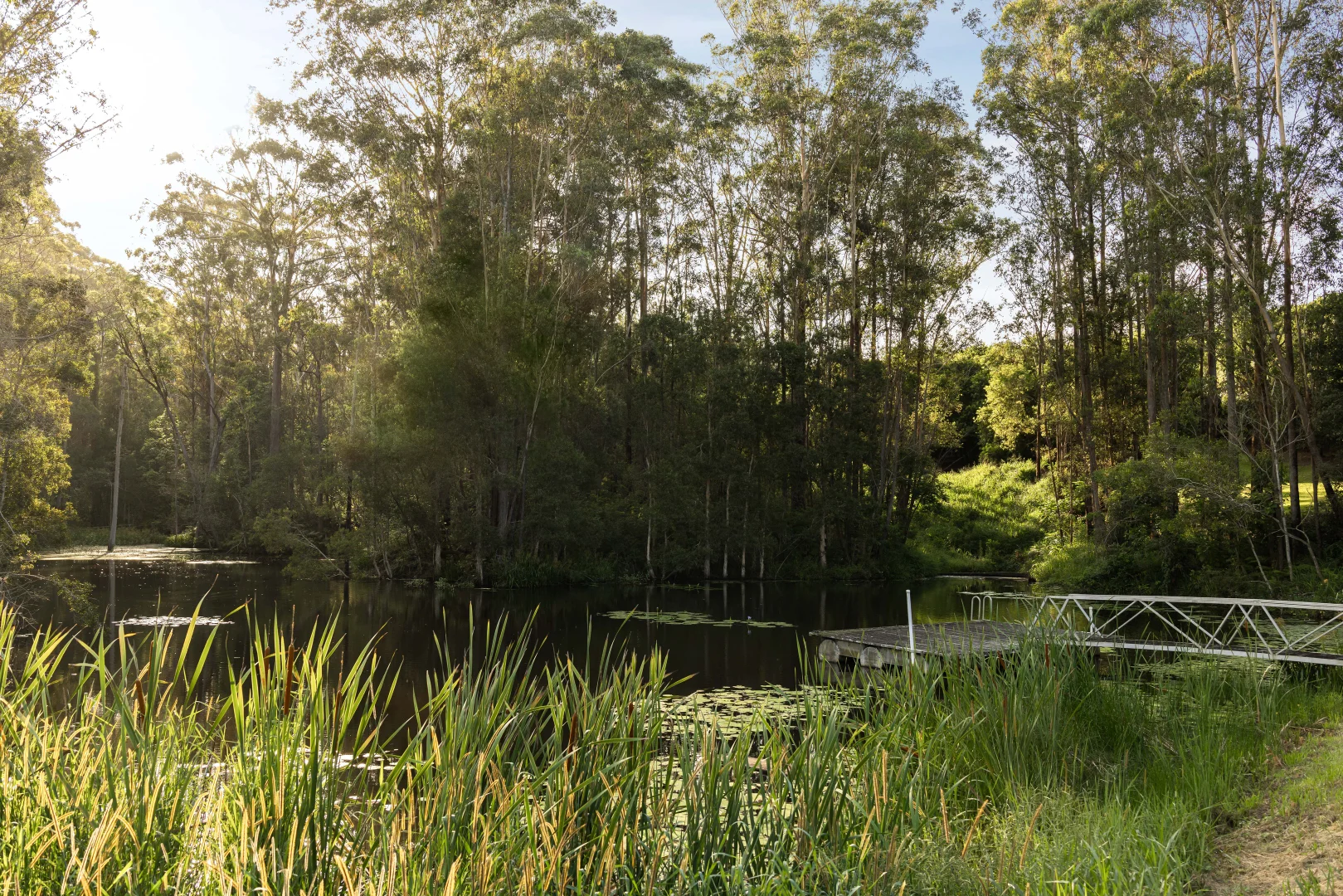 Additional image 24 of 29 Woodrows Road, Glass House Mountains QLD 4518