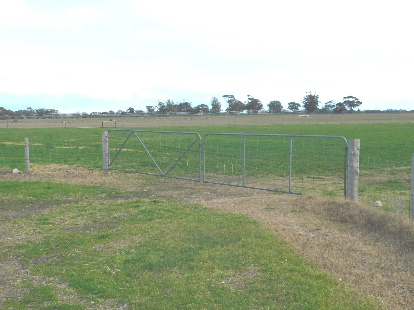 Additional image 24 of 16472 Dukes Hwy, Bordertown SA 5268