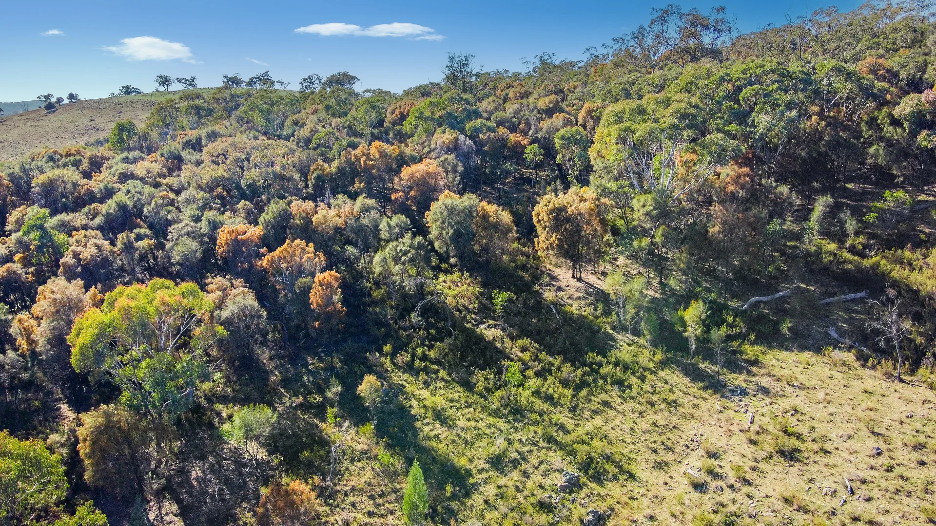 Additional image 3 of 206 Roberts Road, Mudgee NSW 2850