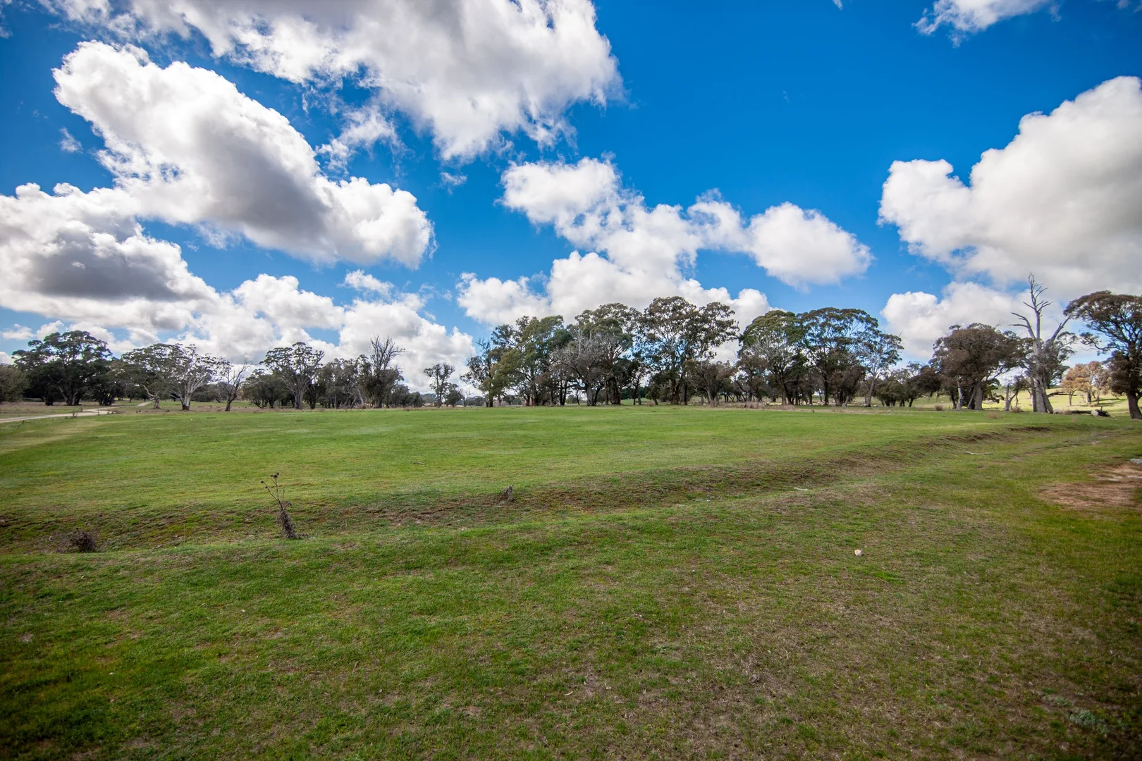 Additional image 25 of 6906 Boorowa Road, Lost River NSW 2583