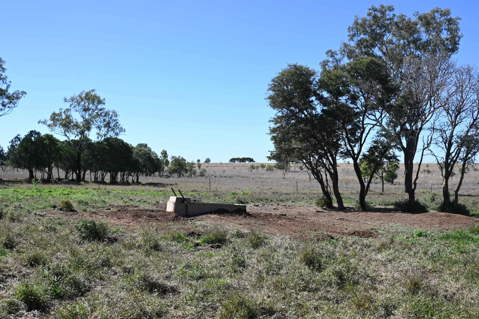 Additional image 26 of 102 Lowestoff Road, Capella QLD 4723