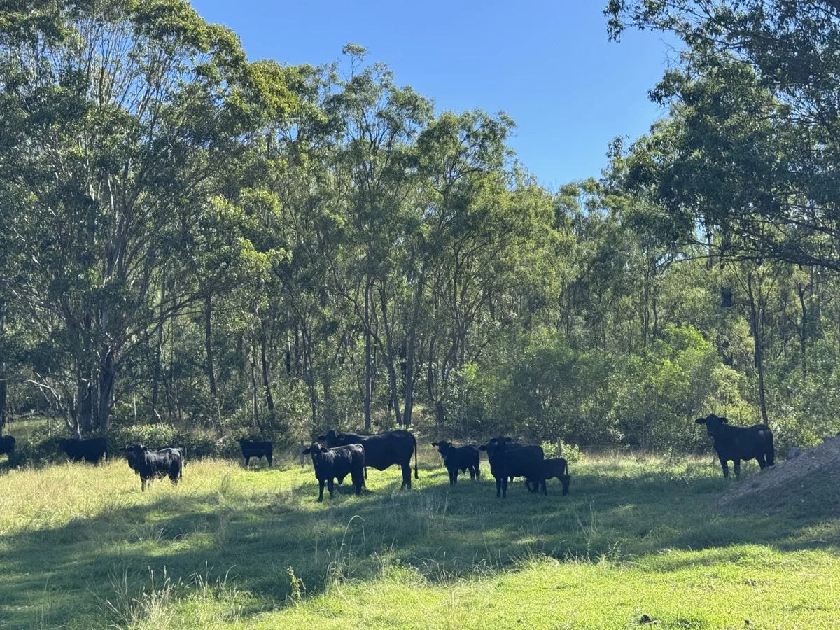 Additional image 4 of 845 Fireclay Road, Kalpowar QLD 4630