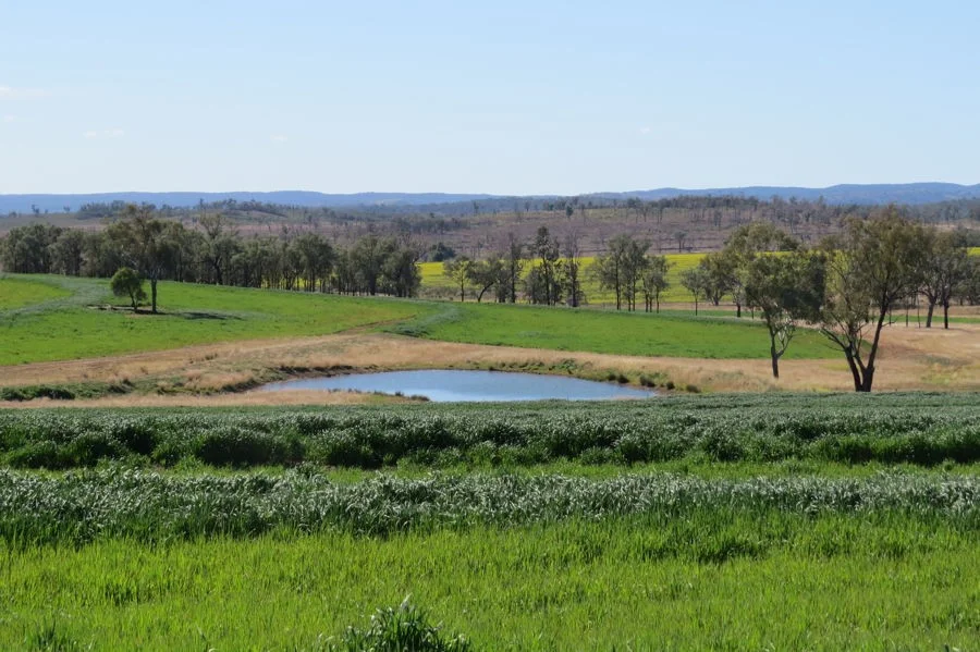 Additional image 4 of 329 Pickfords Road, Yetman NSW 2410