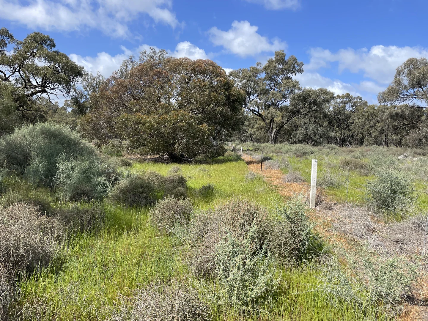 Additional image 10 of 'Fishers' 174 Balranald Road, Moulamein NSW 2733