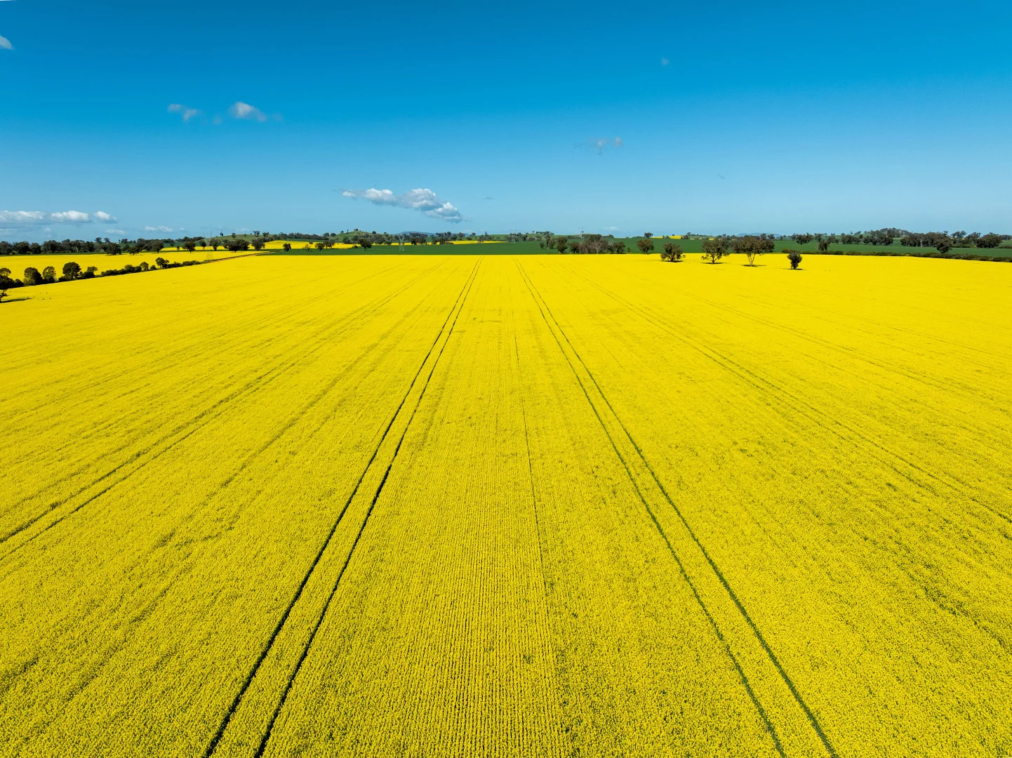 Additional image 18 of 484 Merri Meric Road, Henty NSW 2658