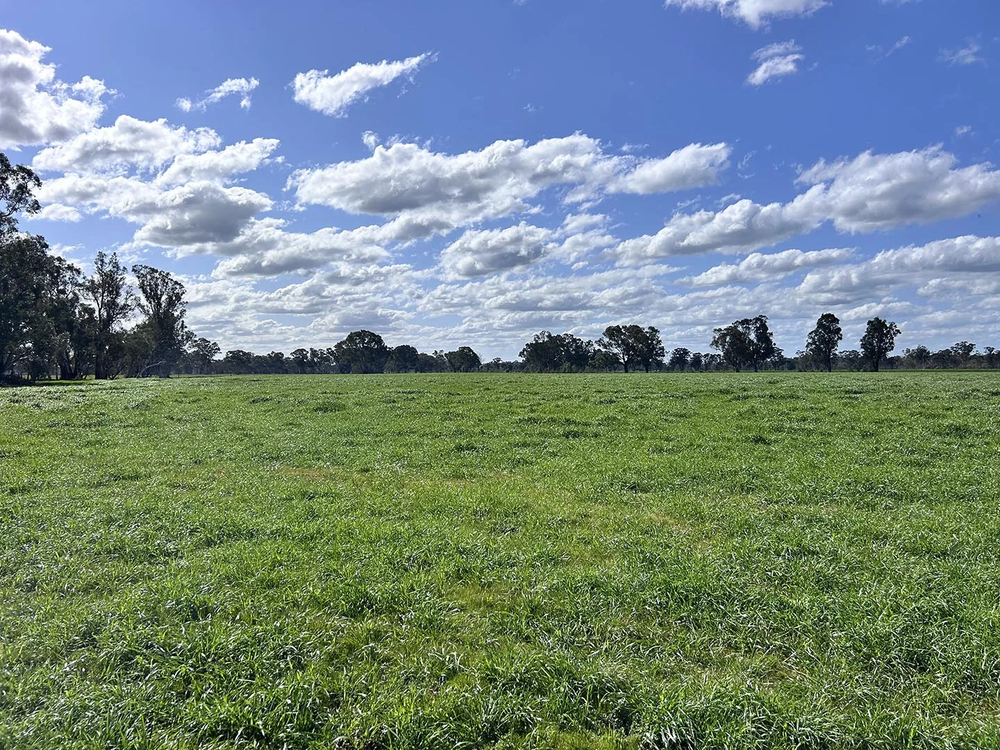 Additional image 13 of 1241 Drysdale Road, Pranjip VIC 3666