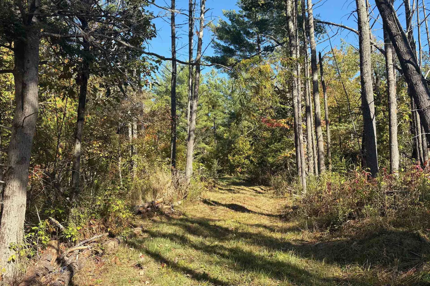 Additional image 12 of N/A Twin Sister Lakes Road