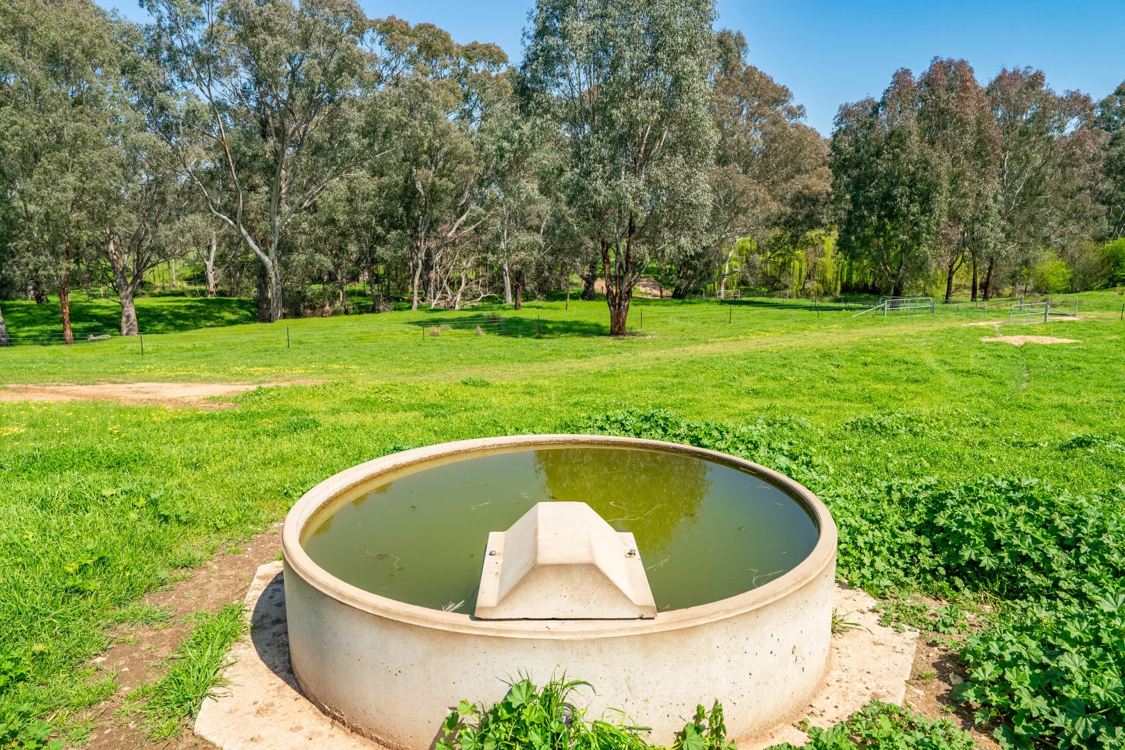 Additional image 38 of 336B Cookinburra Road, Indigo Valley VIC 3688