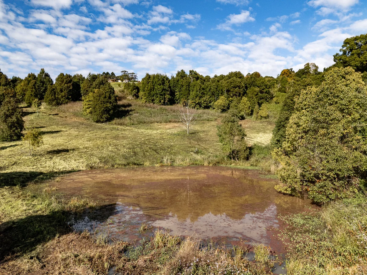 Additional image 16 of 11 Talbot Close, McLeans Ridges NSW 2480
