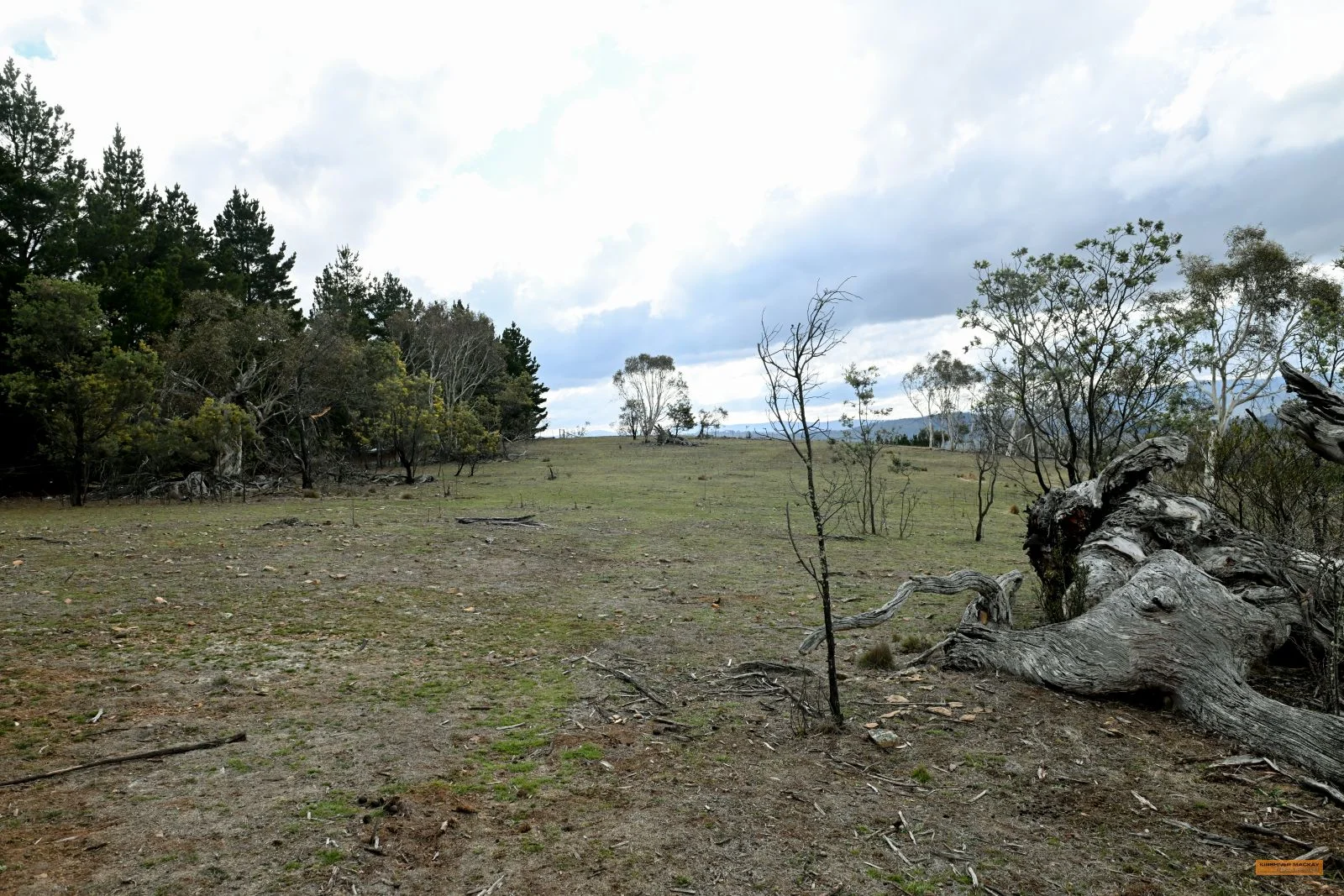 Additional image 32 of "Eagle Heights" 636 Caddigat Road, Dry Plain NSW 2630