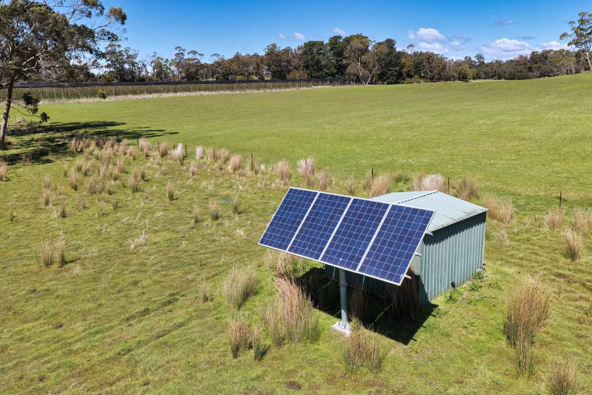 Additional image 10 of 4378 West Tamar Highway, Beauty Point TAS 7270