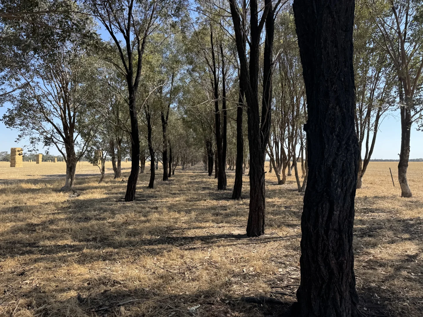 Additional image 15 of CA 60 Federation Way, Springhurst VIC 3682