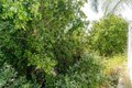 Additional image 52 of 17180 Ballinger St, Northridge, CA, 91325