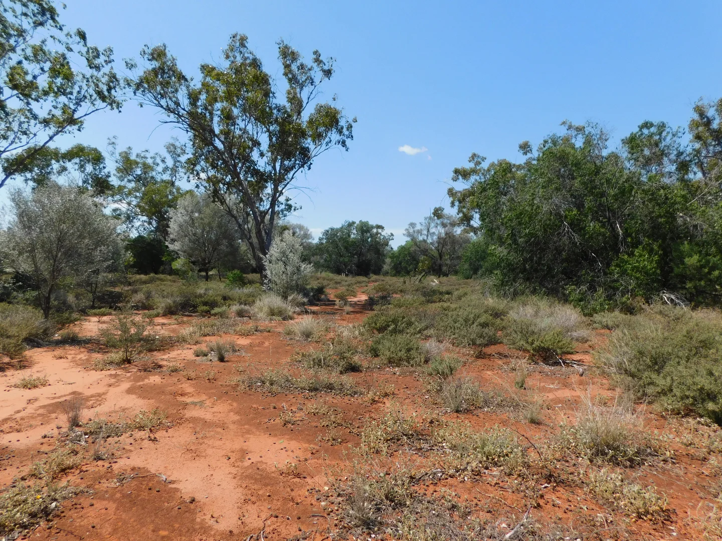Additional image 5 of Lot 5 Mitchell Highway, Charleville QLD 4470