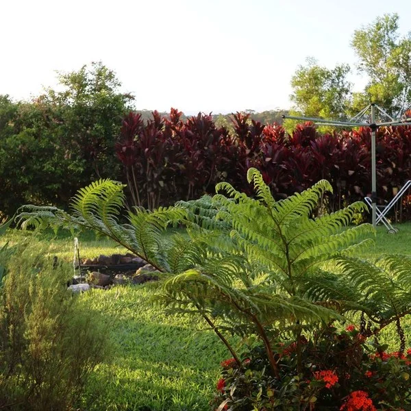 Additional image 19 of 25 Barlee Drive, Fernvale NSW 2484