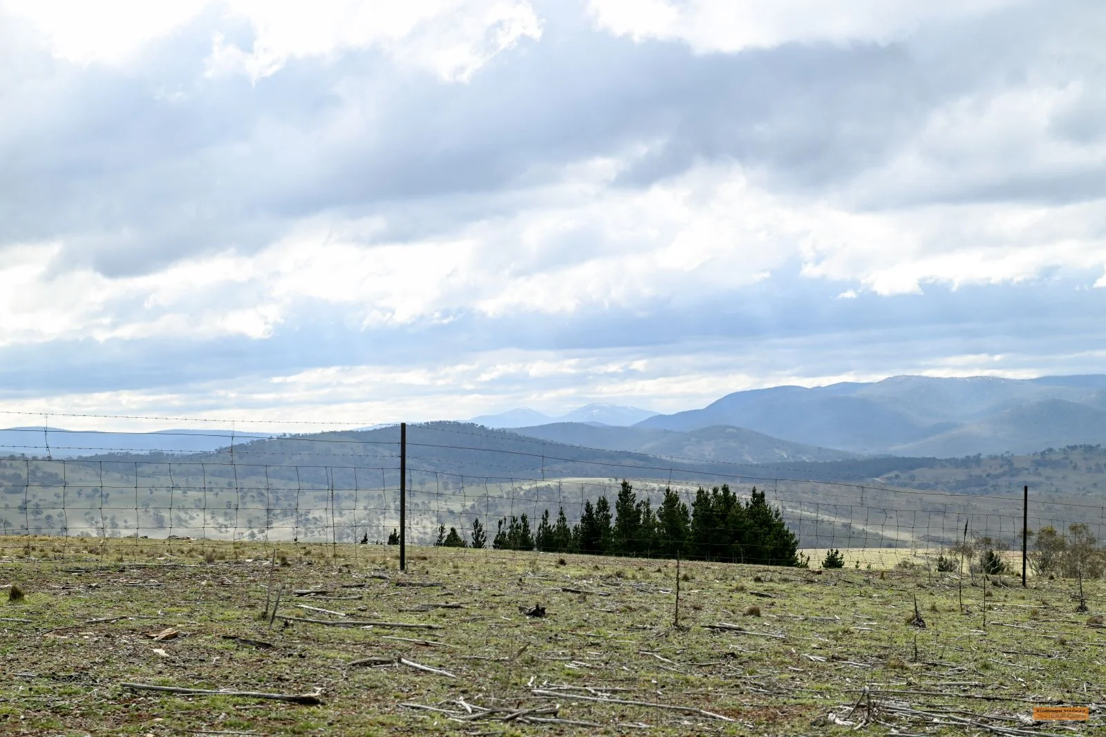 Additional image 2 of "Eagle Heights" 636 Caddigat Road, Dry Plain NSW 2630