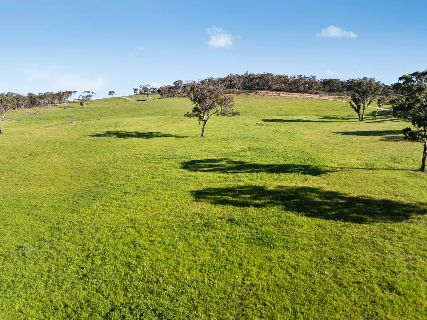 Additional image 2 of 358 Belgravia Road, Orange NSW 2800