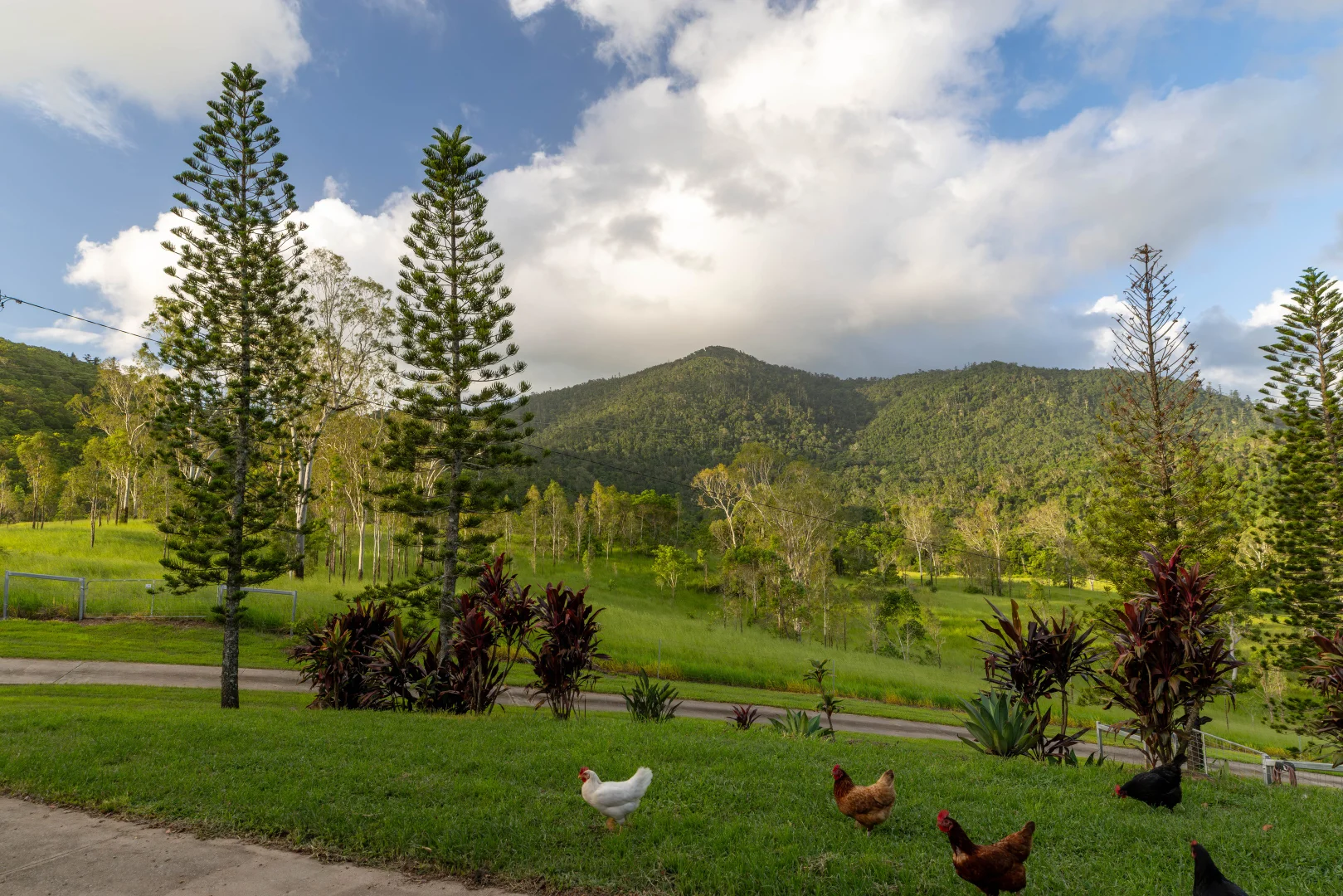 Additional image 17 of 79 De Boni Road, Gregory River QLD 4800