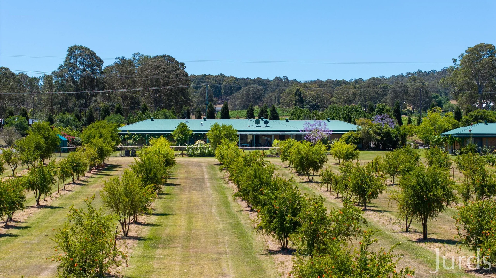 Additional image 7 of 307 Talga Road, Lovedale NSW 2325
