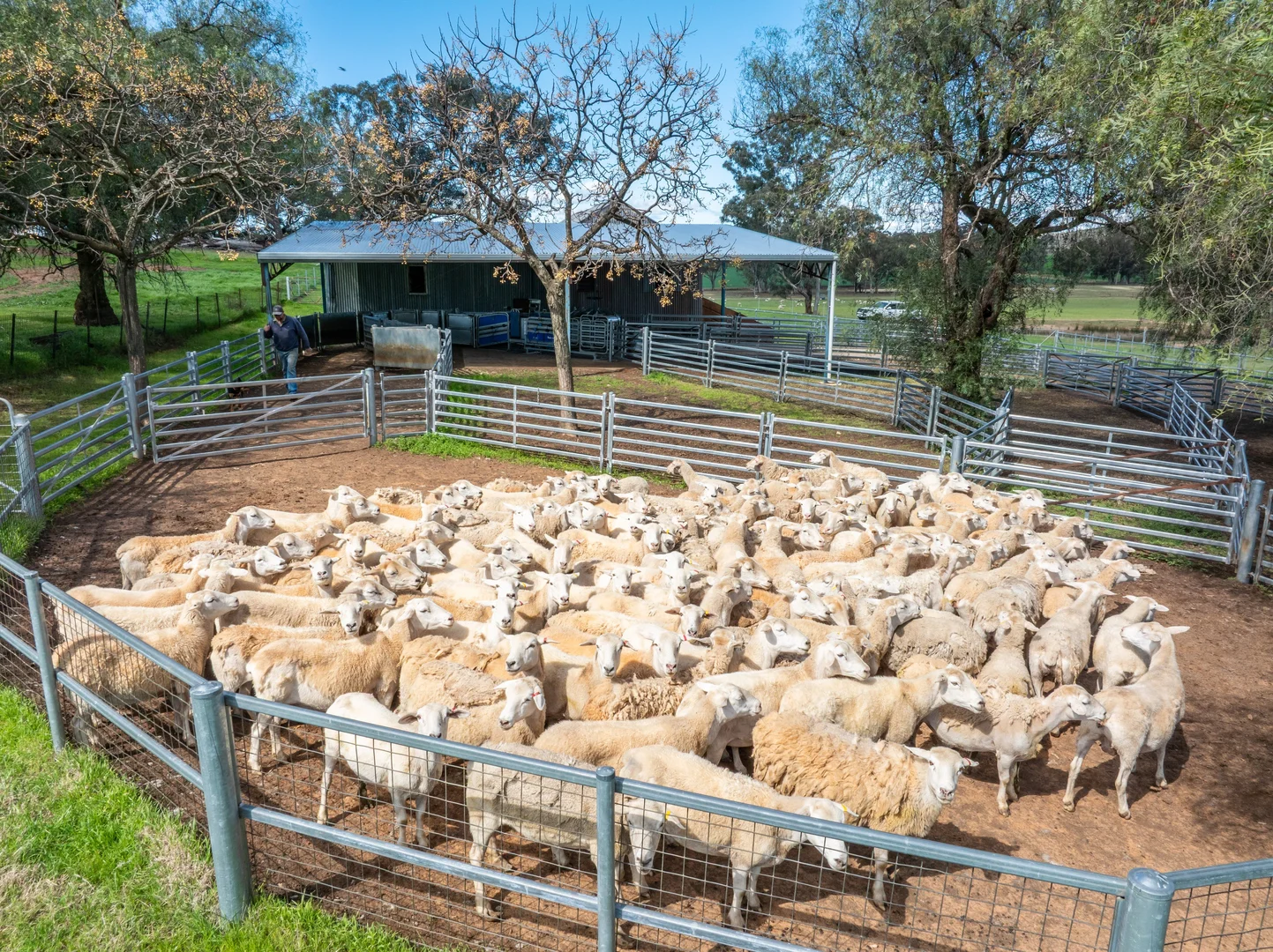 Additional image 23 of 100 Grahams Lane, Grenfell NSW 2810