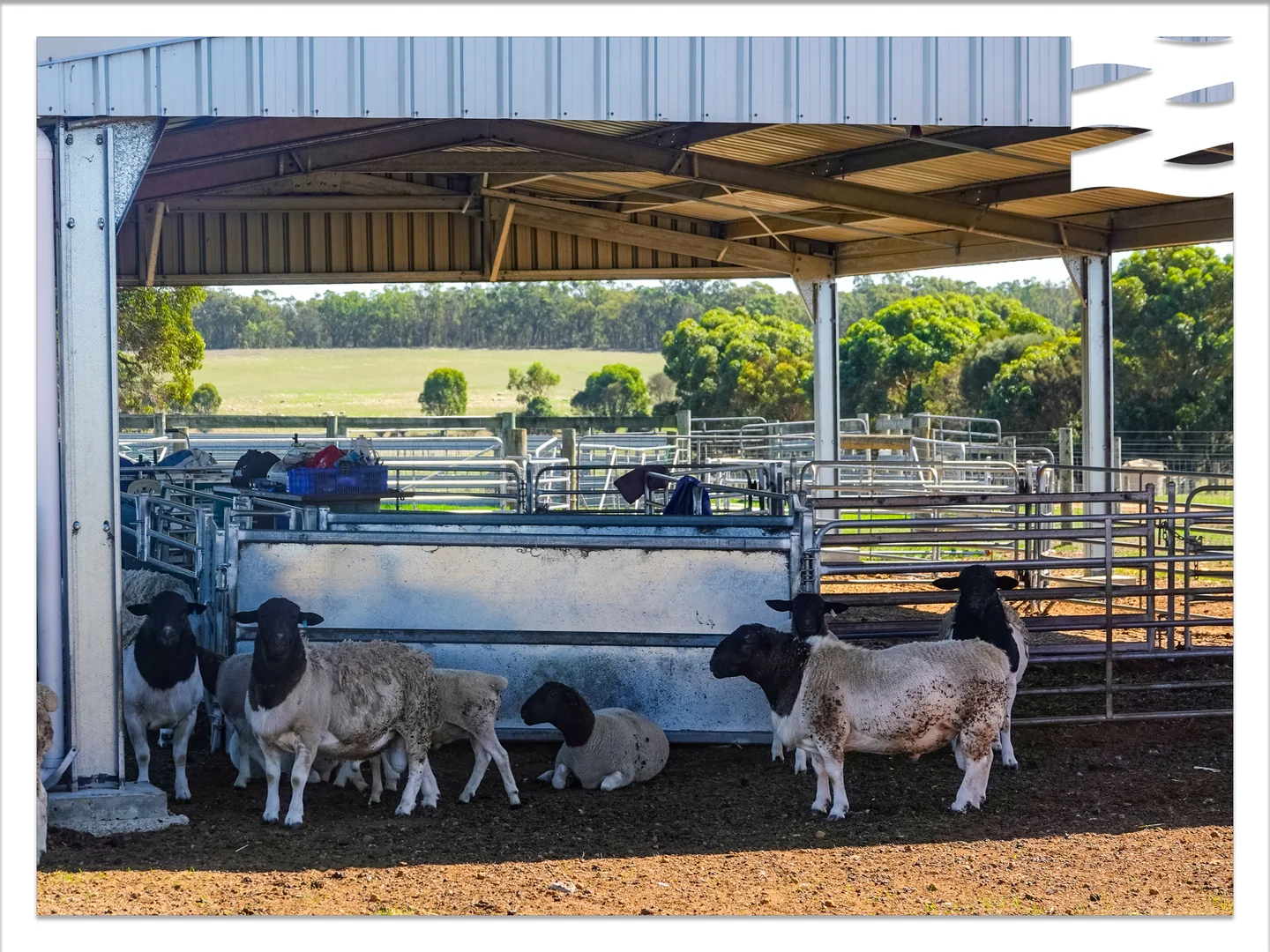 Additional image 18 of 81 O'Neill Road, Mount Barker WA 6324