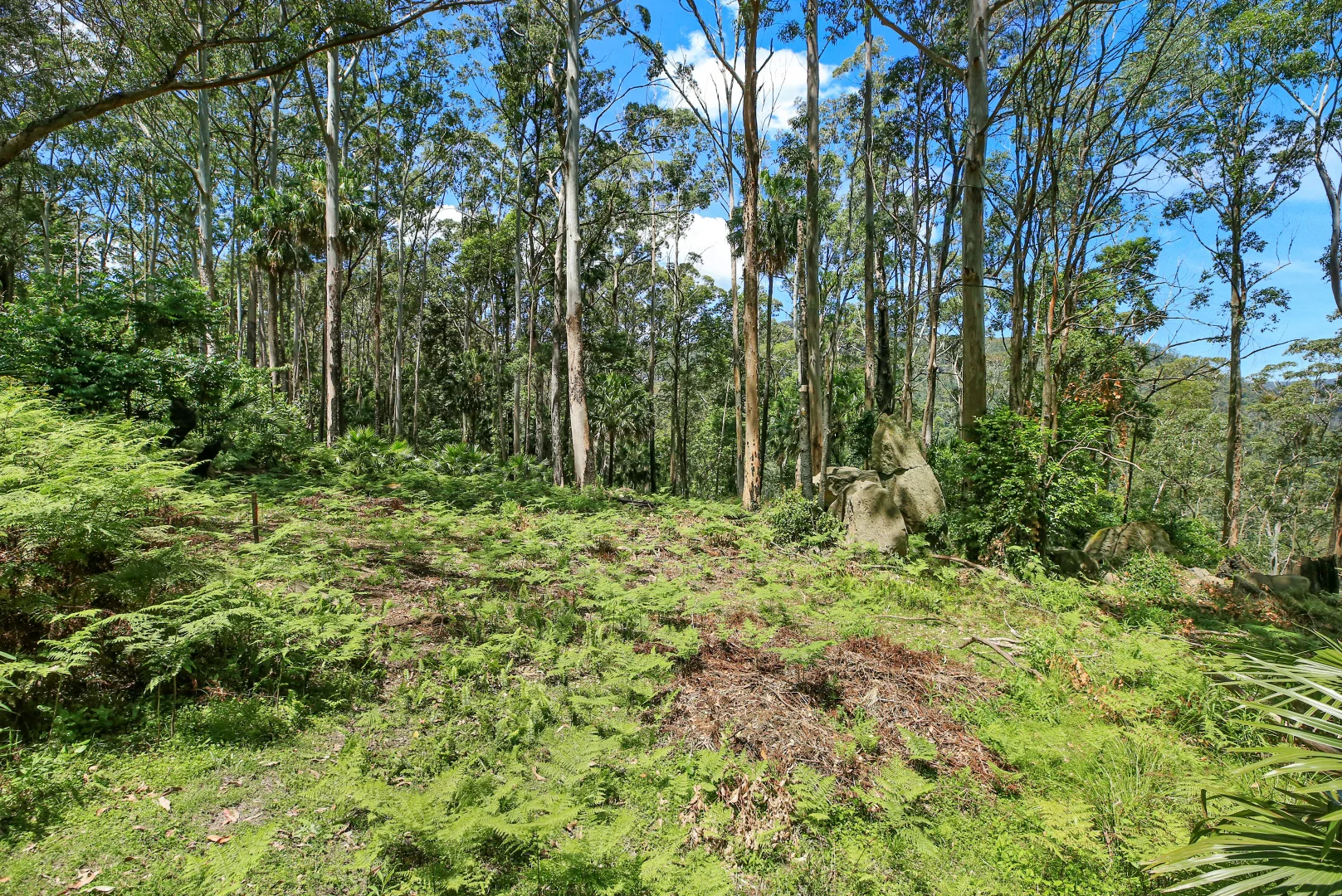 Additional image 3 of 826 Mount Scanzi Road, Kangaroo Valley NSW 2577