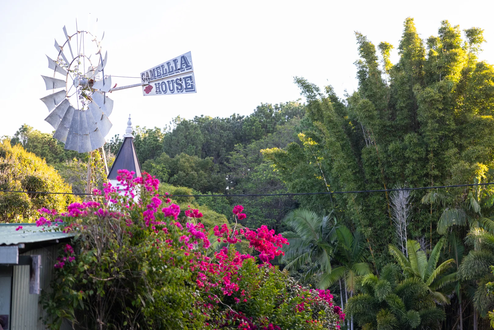 Additional image 27 of 116 Woombye Palmwoods Rd, Palmwoods QLD 4555