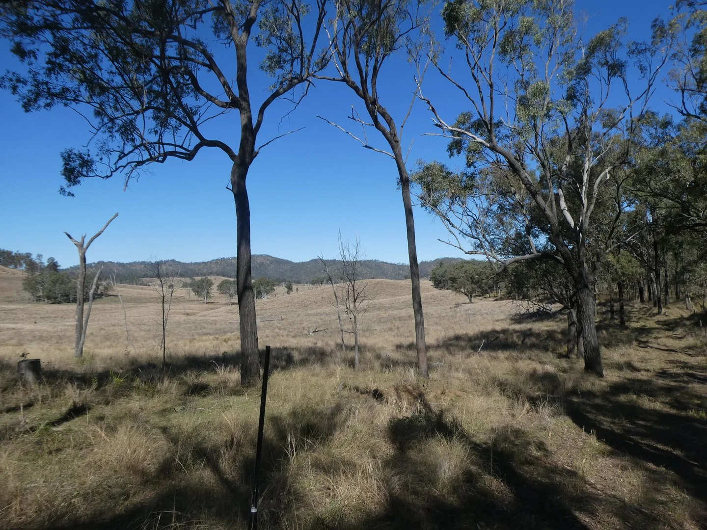 Additional image 12 of 59 Mungy Road, Mungy QLD 4671