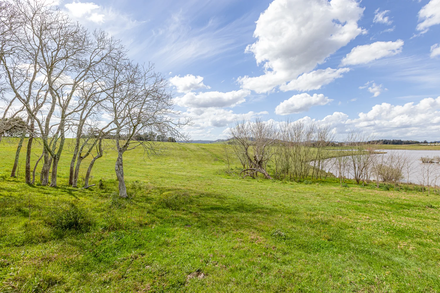 Additional image 8 of Anambah NSW 2320