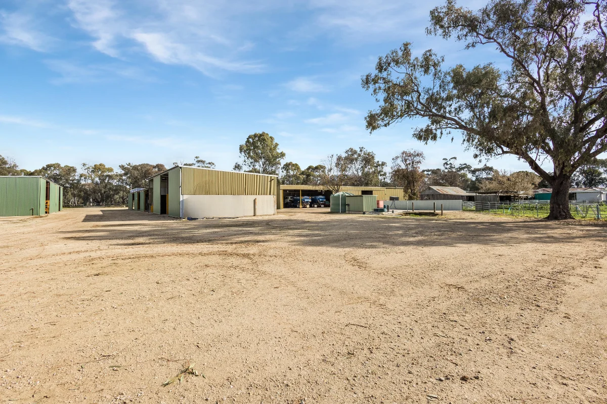 Additional image 33 of 362 Thompsons Bridge Road, Gunbower VIC 3566