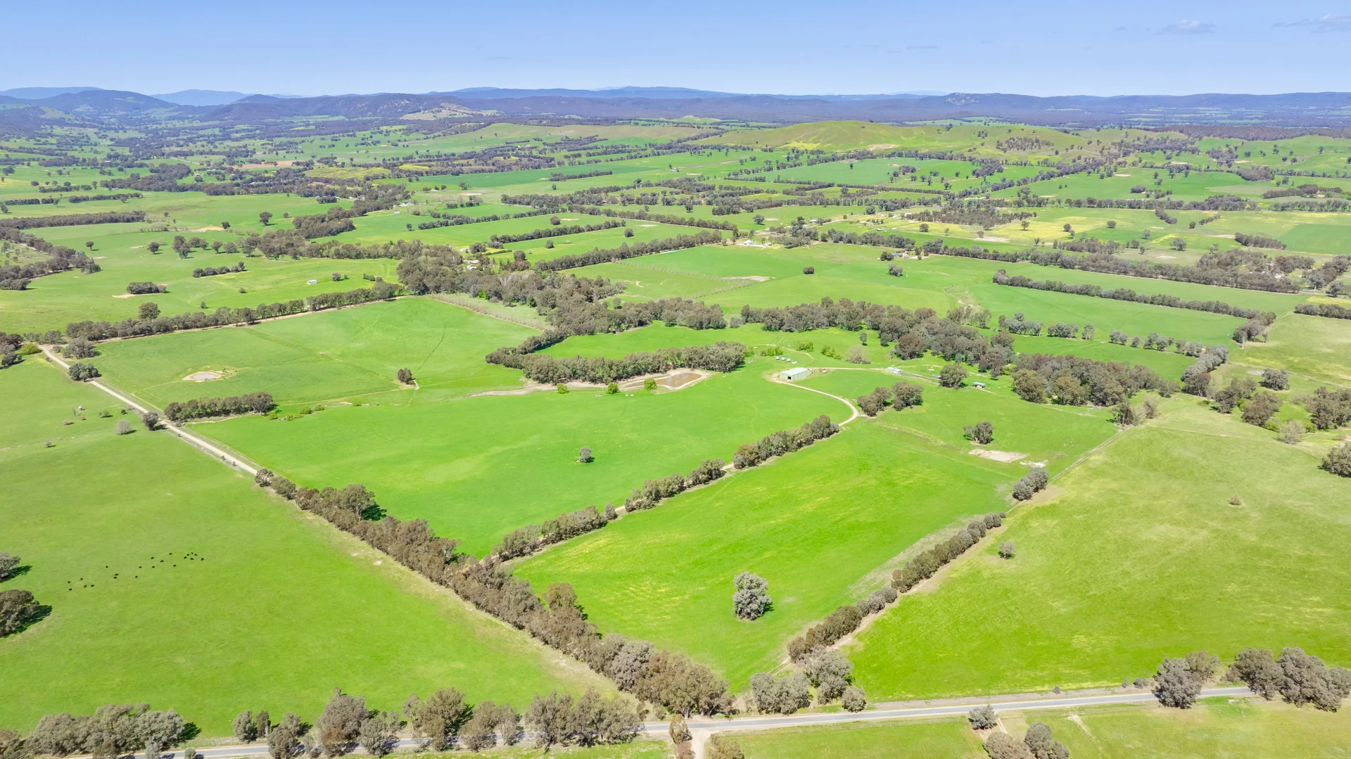 Additional image 29 of 336B Cookinburra Road, Indigo Valley VIC 3688