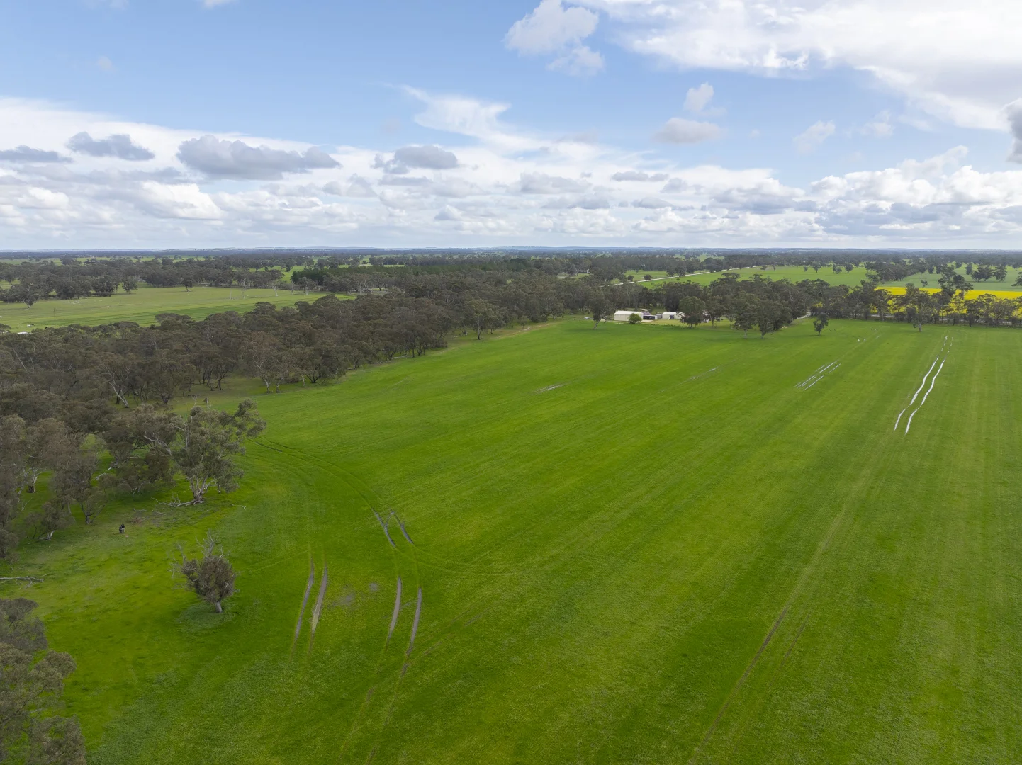 Additional image 8 of 1427 Naracoorte Road, Bordertown SA 5268