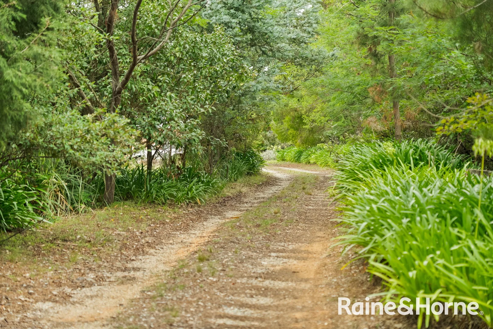 Additional image 46 of 5053 Castlereagh Highway Round Swamp Via, Capertee NSW 2846