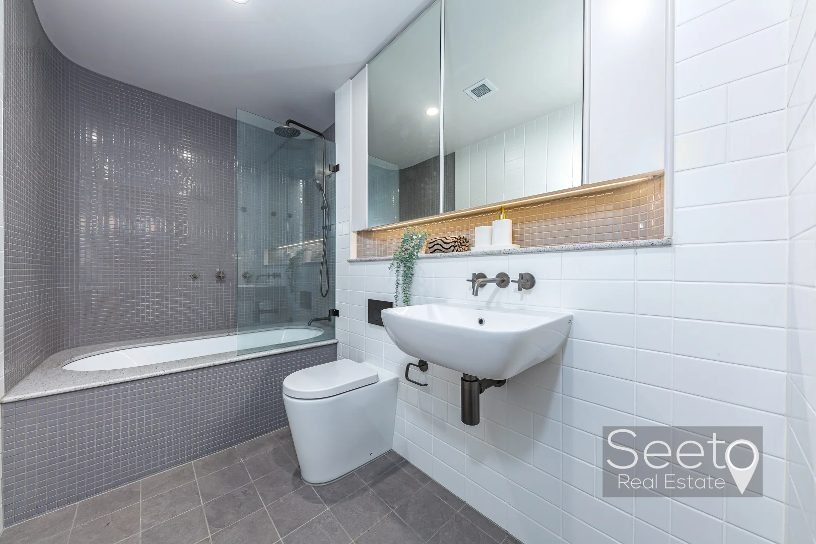 Additional image 21 of 14 Telopea Avenue, Homebush West NSW 2140