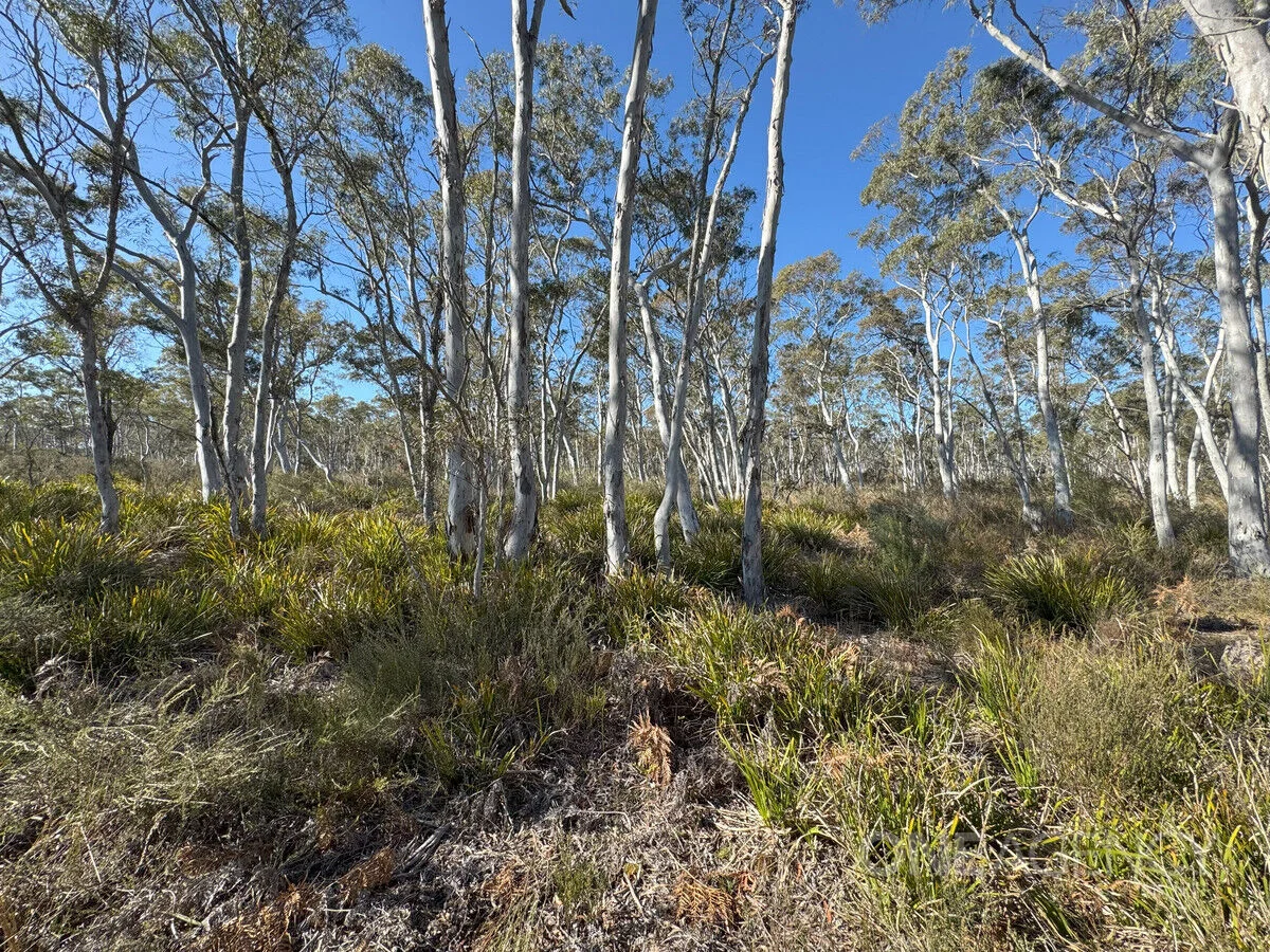 Additional image 2 of 1588 Oallen Ford Road, Oallen NSW 2622