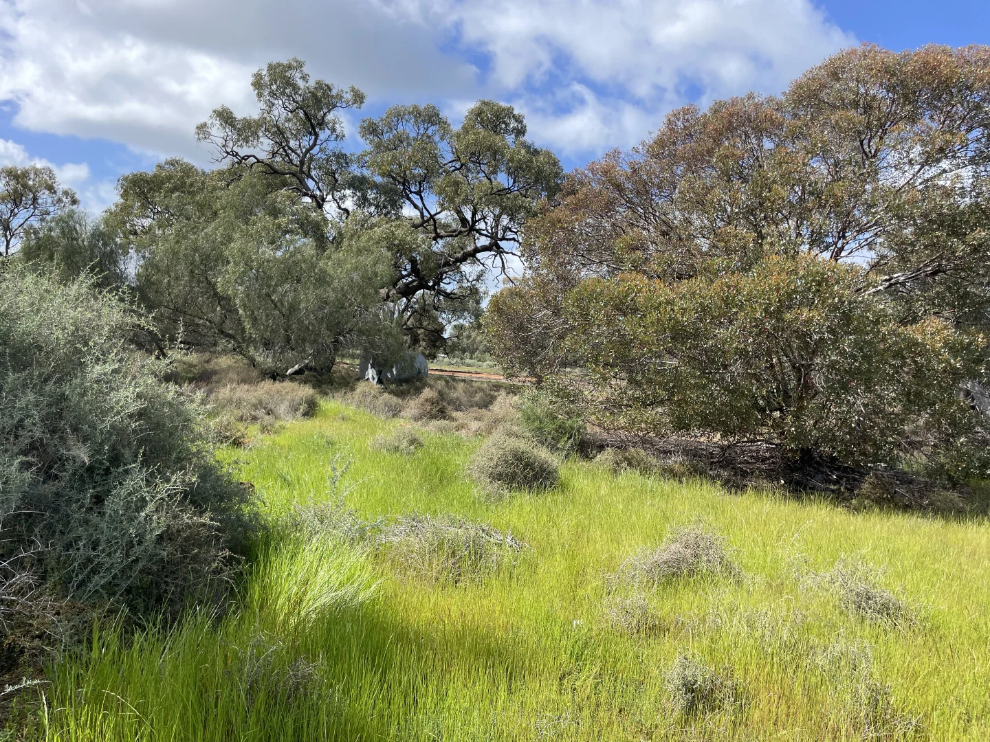 Additional image 9 of 'Fishers' 174 Balranald Road, Moulamein NSW 2733