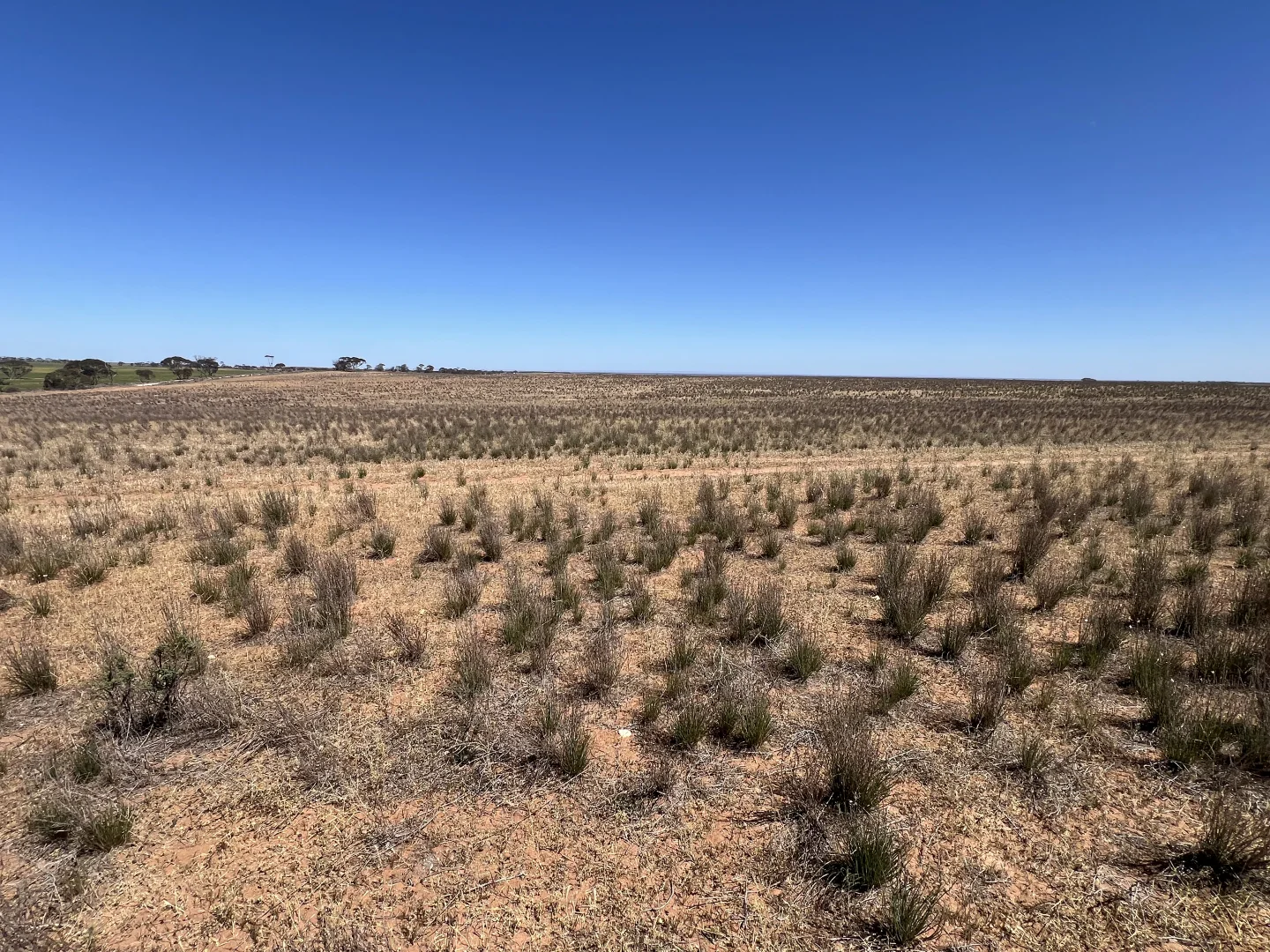 Additional image 9 of 752 Greenways Road, Nildottie SA 5238