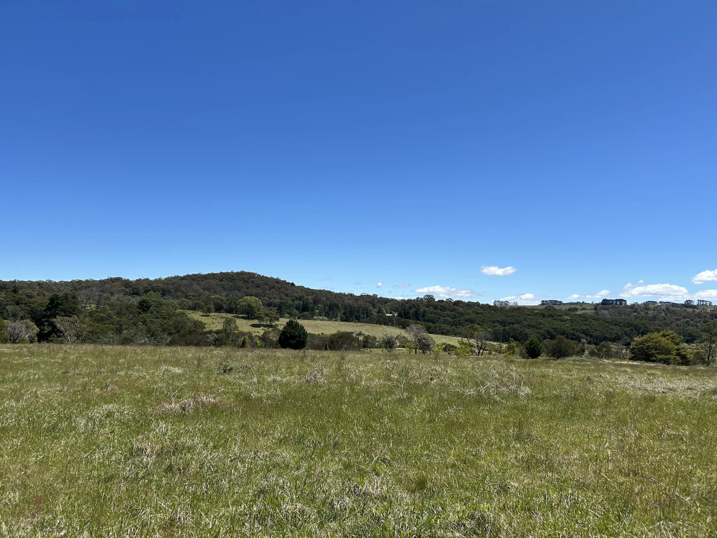 Additional image 6 of 1202 Majors Creek Road, Majors Creek NSW 2622