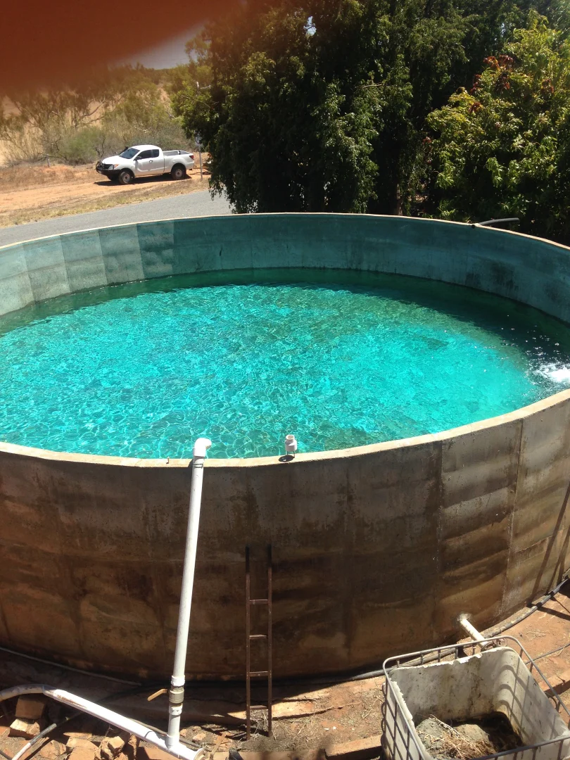 Additional image 9 of 656 South River Road, Carnarvon WA 6701