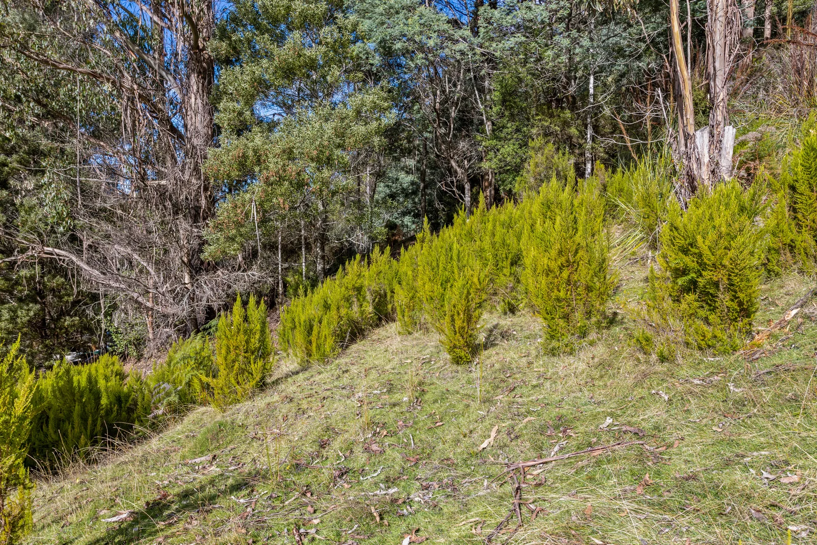 Additional image 8 of 1 Smiths Road, Nicholls Rivulet TAS 7112